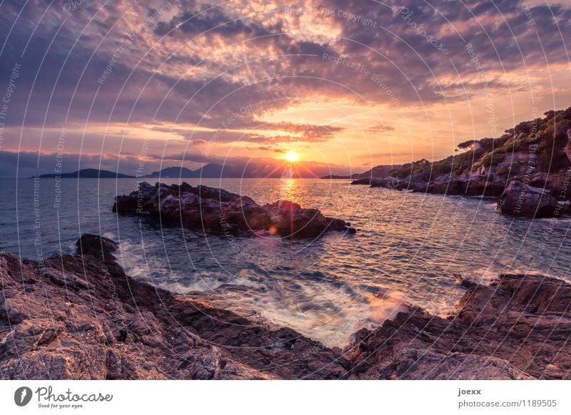 Du atmest ein, du atmest aus. Sommer Sonne Meer Landschaft Himmel Wolken Horizont Sonnenaufgang Sonnenuntergang Sonnenlicht Schönes Wetter Felsen Wellen Küste