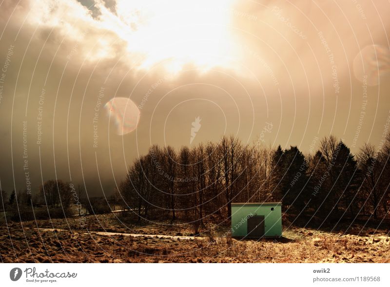 Kleines Haus am Wald Umwelt Natur Landschaft Pflanze Himmel Wolken Horizont Klima Wetter Schönes Wetter Baum glänzend leuchten Hütte Farbfoto Gedeckte Farben