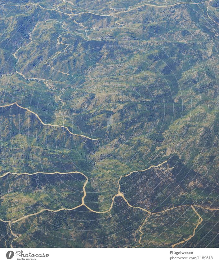 Viele Wege führen zum Ziel Freizeit & Hobby Ferien & Urlaub & Reisen Tourismus Ausflug Umwelt Natur Landschaft Sommer Klima Klimawandel Wetter Pflanze Baum Gras