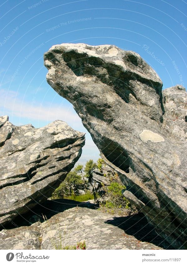 Dinosaurier Stein Tafelberg Berge u. Gebirge Felsen Natur