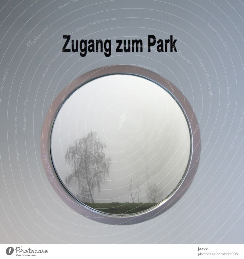 Zugang zum Park Aussicht Ausgang Baum Bullauge dunkel Eingang gefangen Herbst Hoffnung Nebel Blick rund trüb Winter Buchstaben Schriftzeichen Garten