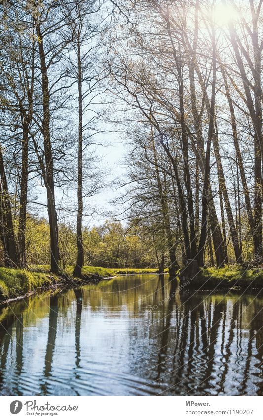 spreewald Umwelt Natur Landschaft Wasser Klima Wetter Schönes Wetter Spreewald Flussufer Frühling Wellen Sonne Farbfoto Außenaufnahme Menschenleer