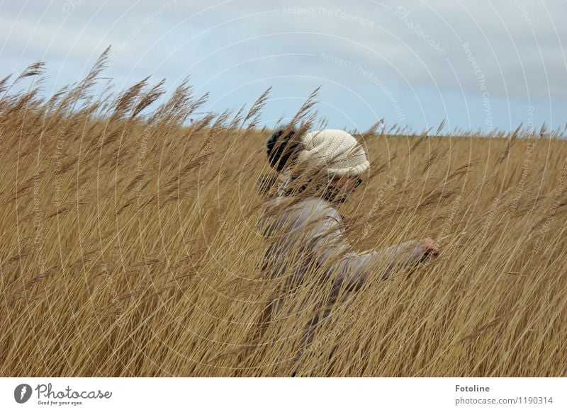 Mit Bommelmütze Umwelt Natur Landschaft Pflanze Himmel Wolken Küste Nordsee natürlich trist trocken Schilfrohr verstecken Versteck Mütze Quaste Farbfoto