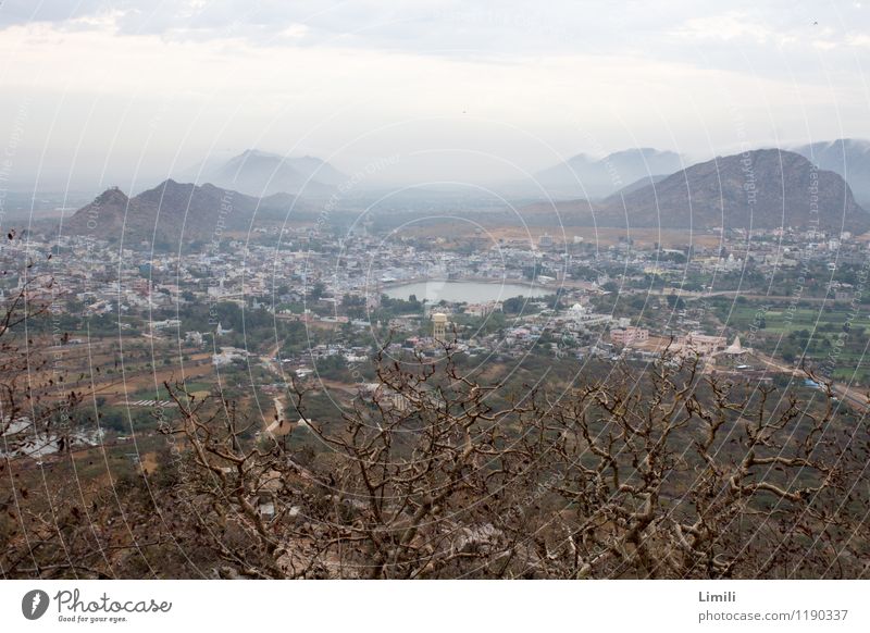 Lake Pushkar von oben Erholung ruhig Meditation Abenteuer Ferne Berge u. Gebirge Natur Landschaft Wasser Nebel Hügel Seeufer Wüste Indien Asien Stadt bevölkert