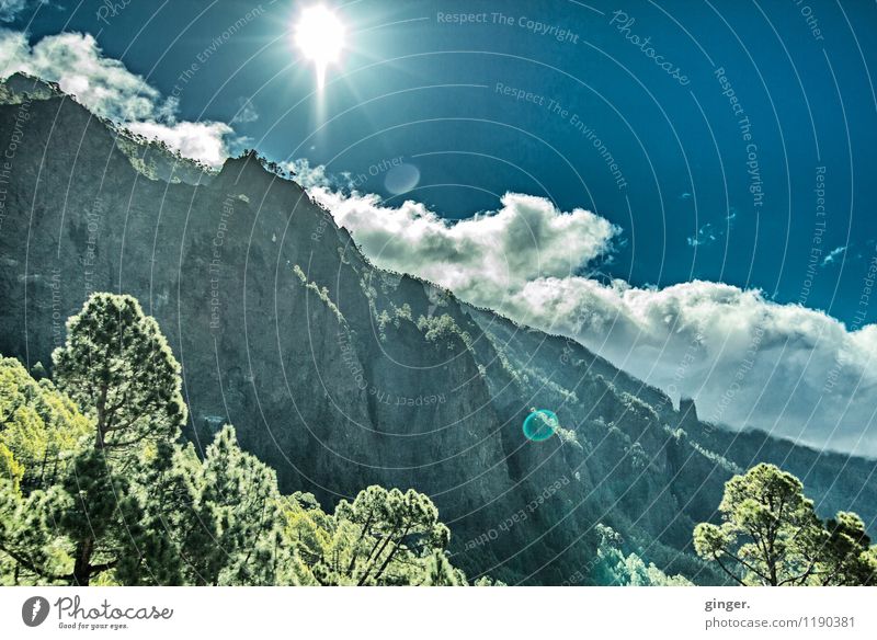 Von der Sonne geflasht Umwelt Natur Landschaft Himmel Wolken Sonnenlicht Frühling Klima Wetter Schönes Wetter Wärme Pflanze Baum Sträucher Wald Felsen