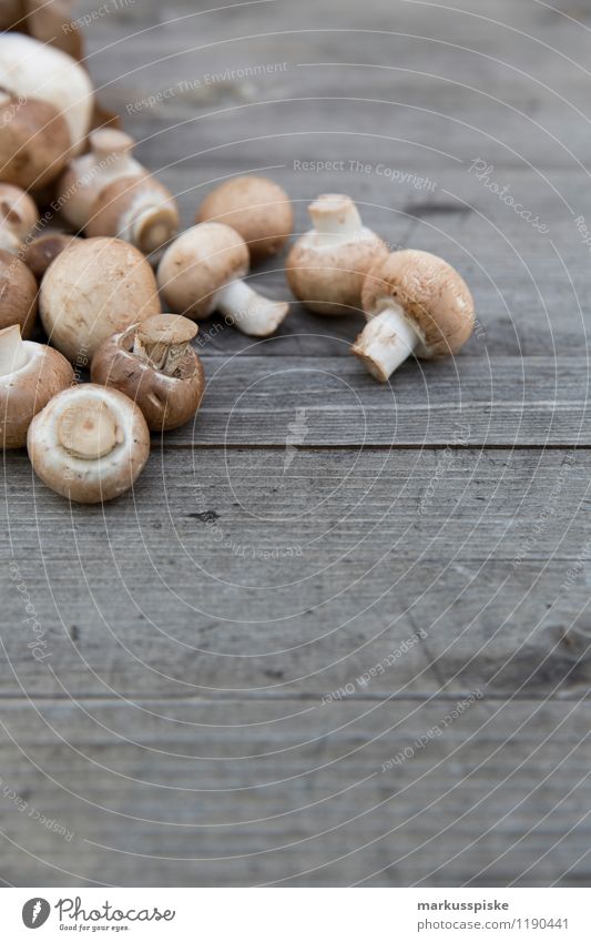 Champignons Agaricus Lebensmittel Gemüse Pilz Ernährung Büffet Brunch Picknick Bioprodukte Vegetarische Ernährung Diät Slowfood Fingerfood Gesunde Ernährung