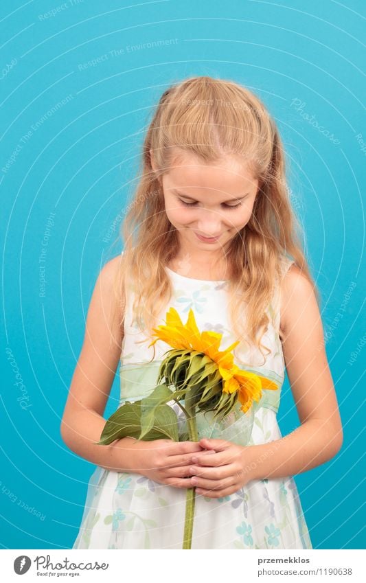 Mädchen mit Sonnenblume schön Sommer Kind 1 Mensch 8-13 Jahre Kindheit Blüte Kleid blond Lächeln klein blau heiter eine Frühling vertikal jung