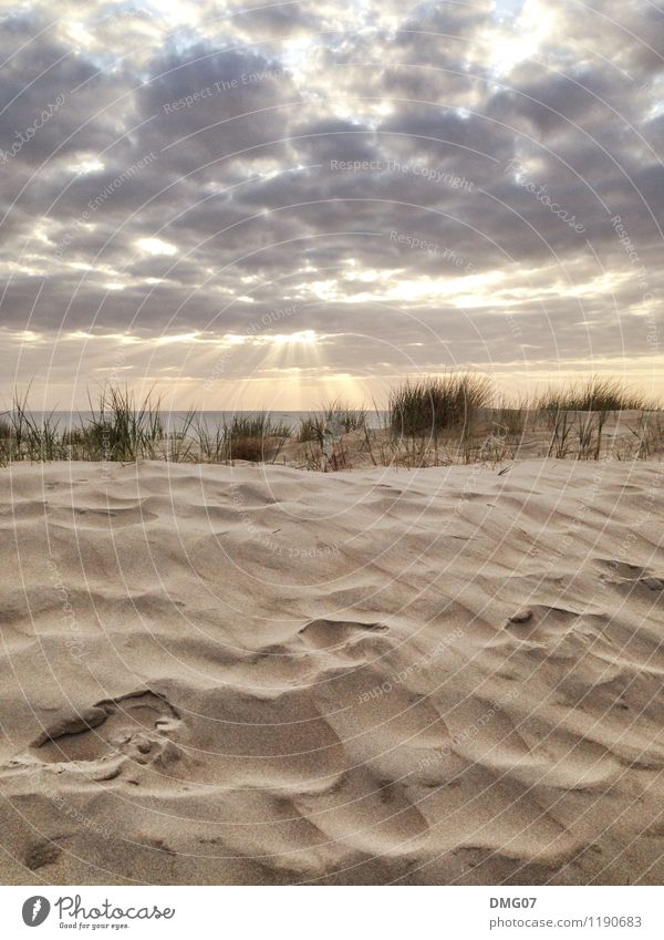 Strand6000 Ferien & Urlaub & Reisen Sommer Sommerurlaub Sonne Meer Insel Landschaft Himmel Wolken Sonnenaufgang Sonnenuntergang Sonnenlicht Frühling Herbst