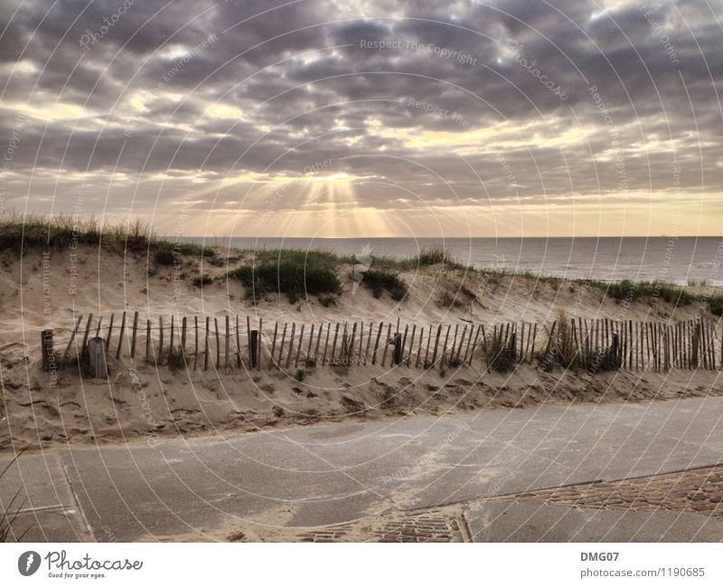 Ladies and Gentleman... Freizeit & Hobby Ferien & Urlaub & Reisen Ausflug Freiheit Sommer Sommerurlaub Sonne Sonnenbad Strand Meer Wellen Sport Umwelt Natur