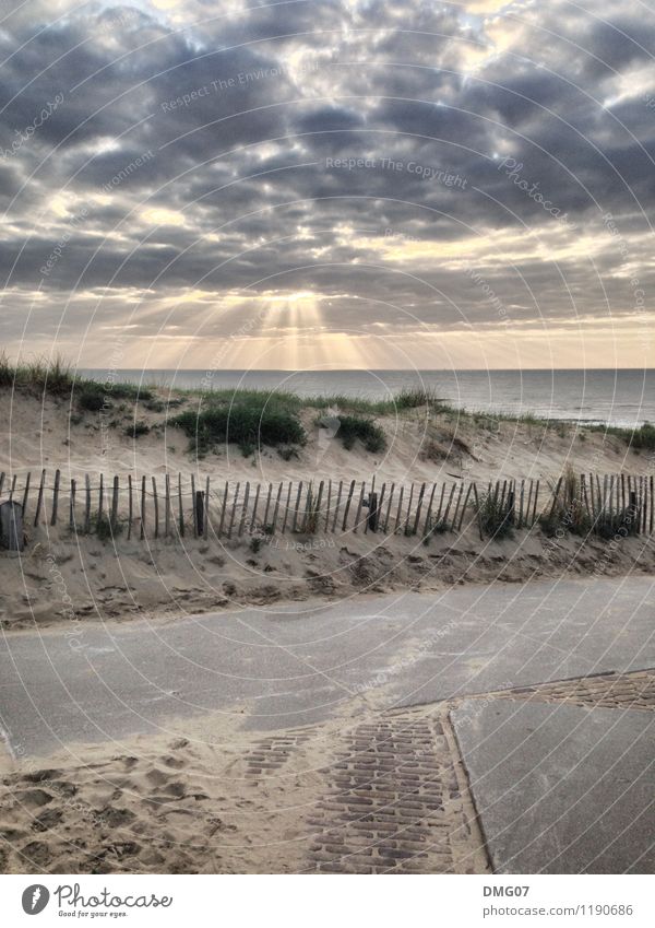 Strand & Meer Freizeit & Hobby Ferien & Urlaub & Reisen Sommer Sommerurlaub Sonne Sonnenbad Insel Umwelt Natur Landschaft Sand Luft Wasser Himmel Wolken