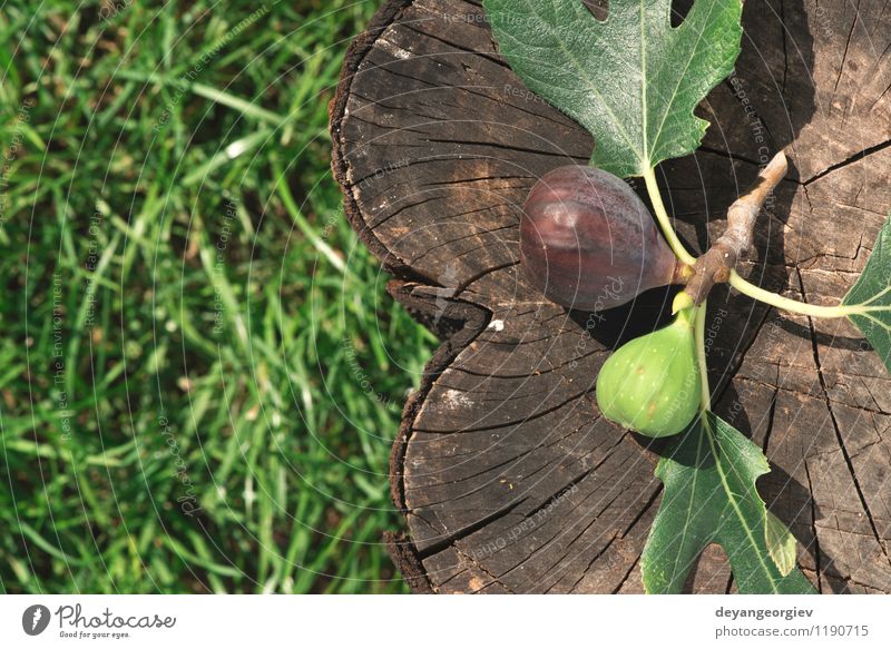 Feigen in gelber Schüssel Frucht Diät exotisch Natur Herbst Blatt frisch natürlich saftig grün rot reif Lebensmittel Holz organisch purpur süß Hintergrund