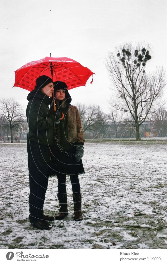 NAHDISTANZ :: Liebe Küssen Regenschirm Winter Zärtlichkeiten Ferne Intimität Hass Baum Defensive berühren Dresden Park Einsamkeit Vertrauen Hilfsbereitschaft