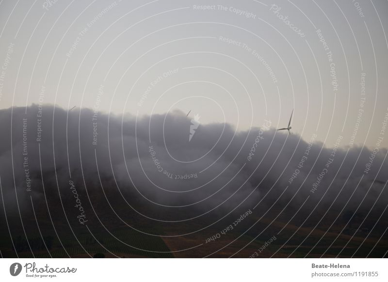 Mal ordentlich Dampf machen Natur Landschaft Luft Himmel Sommer schlechtes Wetter Nebel Berge u. Gebirge Gipfel außergewöhnlich bedrohlich dunkel blau grau