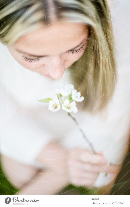 All the small things (2) Lifestyle Stil schön Mensch feminin Junge Frau Jugendliche Erwachsene Leben Gesicht Wimpern 1 18-30 Jahre Natur Pflanze Blüte