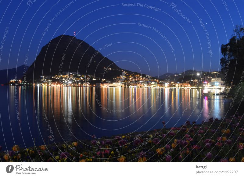 Lugano Stadt Leuchtturm Wahrzeichen Kopftuch beobachten natürlich Gefühle Identität Farbfoto Menschenleer Nacht Panorama (Aussicht) Blick in die Kamera