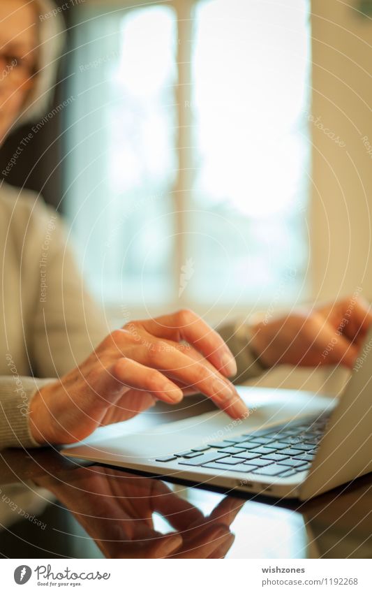 Woman typing on a Laptop Bildung Erwachsenenbildung Büroarbeit Arbeitsplatz Karriere Computer Notebook Tastatur Hardware Technik & Technologie Internet Mensch