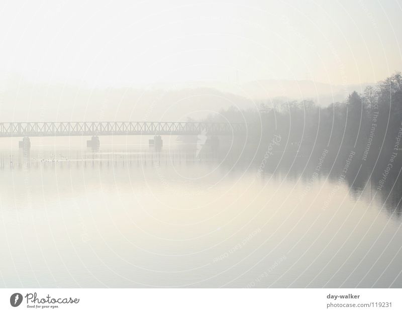 Silence II See ruhig Erholung Nebel Morgen aufwachen Wald Baum Reflexion & Spiegelung Oberfläche Vogel Säule Fußgängerübergang Panorama (Aussicht) Wasser Küste