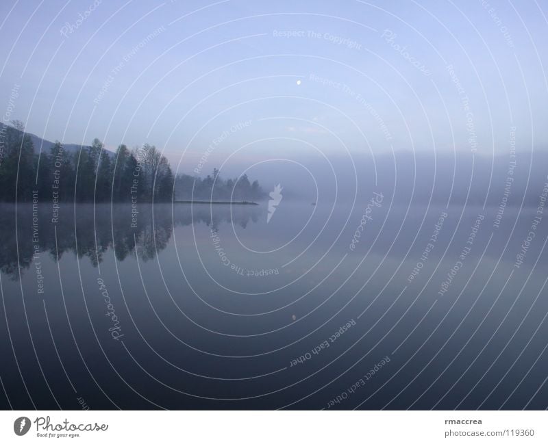 Mirror Lake North Carolina USA Winter misty fog foggy moon lake pond glassy mirror reflection grey blue morning sunrise early chilly cold wilderness Wildtier