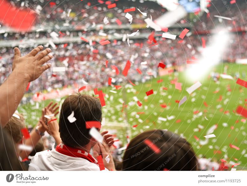 Stimmung! Feste & Feiern Ballsport Publikum Hooligan Tribüne Sportveranstaltung Pokal Erfolg Fußball Sportstätten Fußballplatz Stadion Mensch Junger Mann