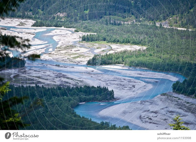 Do lechsd di nida! Umwelt Natur Landschaft Pflanze Baum Wald Alpen Flussufer Bucht blau grün Flußbett Fluss Lech fließen Naturschutzgebiet Umweltschutz