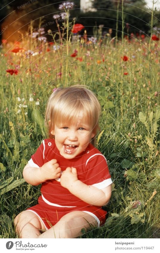 Mohntag Freude Glück Sommer Garten Mädchen Natur Wärme Blume Wiese blond Blühend Feste & Feiern Lächeln lachen sitzen Fröhlichkeit frisch Gesundheit lustig