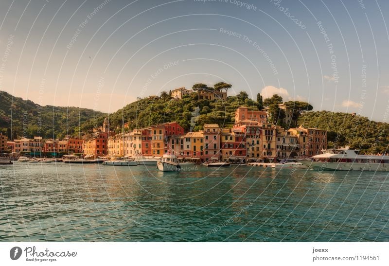 Portofino Ferien & Urlaub & Reisen Landschaft Wasser Himmel Sommer Schönes Wetter Wald Berge u. Gebirge Italien Dorf Haus Fassade alt historisch schön