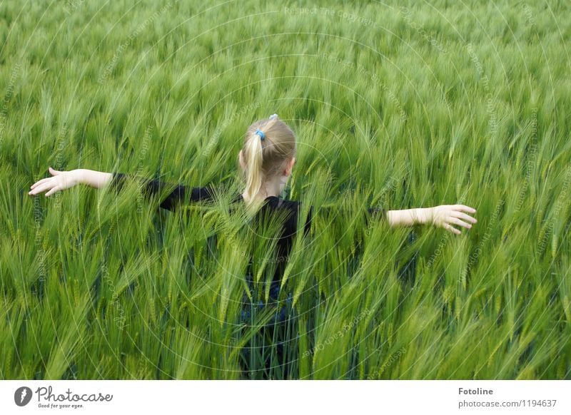 So weich! Mensch feminin Kind Mädchen Kindheit Kopf Haare & Frisuren Arme Hand Finger 1 Umwelt Natur Schönes Wetter Pflanze Nutzpflanze Feld frei natürlich grün