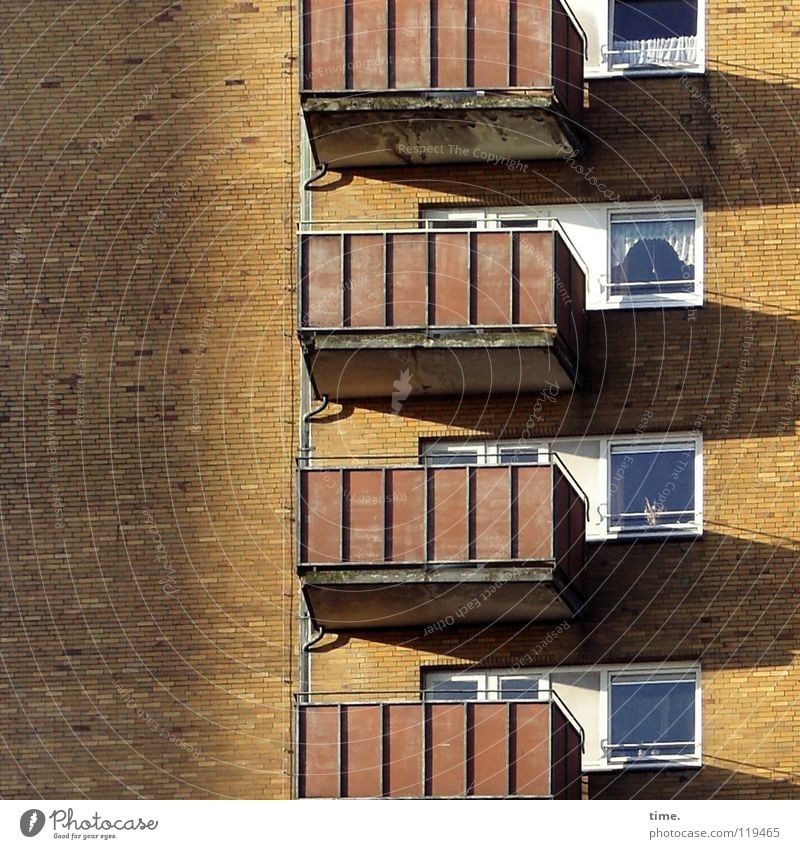 Autonomie und Bindung Hochhaus Haus Wand Balkon 4 Fenster identisch analog Mauer Gardine Abwasser Sonnenstand Sportveranstaltung Konkurrenz Wohnzimmer