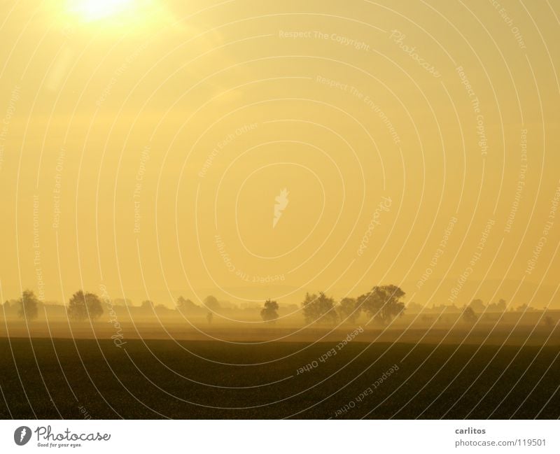 Nach dem Regen ... Morgennebel Nebel Wiese Zaun Dunst Wolken Farblosigkeit Licht Gras Nebelschleier Hoffnung Tatendrang Schleier Sonnenaufgang grün Wetter