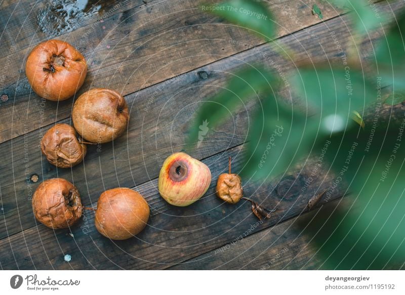 Faule Äpfel auf Holz Frucht Apfel Garten Herbst alt gut natürlich braun rot weiß Tod verfault Lebensmittel schlecht Müll verdorben Hintergrund Kompost hässlich