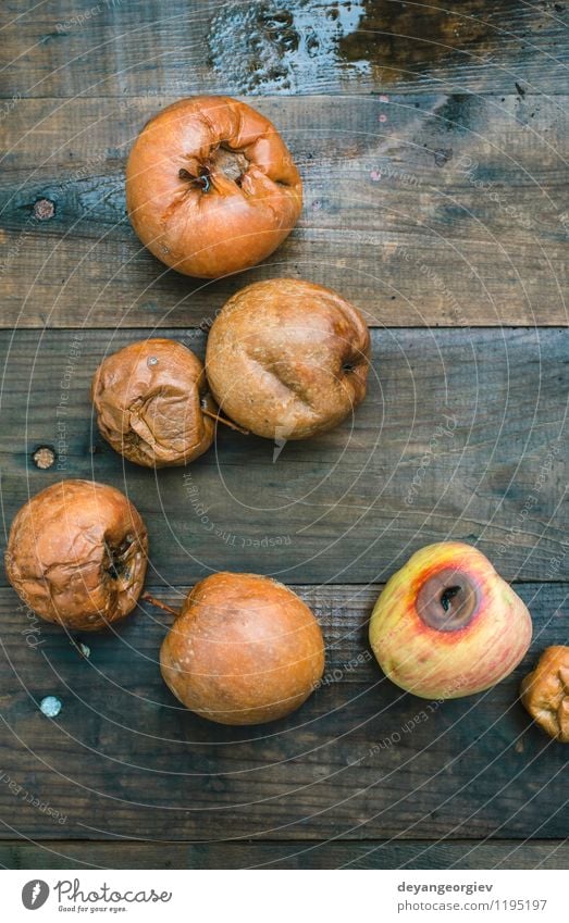 Faule Äpfel auf Holz Frucht Apfel Garten Herbst alt gut natürlich braun rot weiß Tod verfault Lebensmittel schlecht Müll verdorben Hintergrund Kompost hässlich