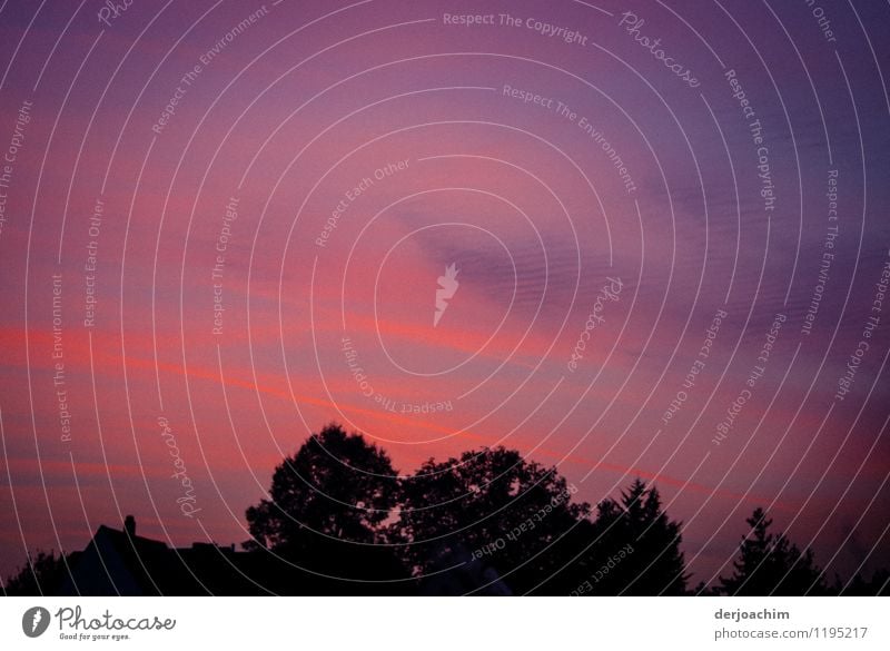 Wunderschöner Farben Himmel,wie in der Karibik. Sonnenuntergang in Franken. exotisch Freude harmonisch ruhig Ausflug Sommer Umwelt Schönes Wetter Wald