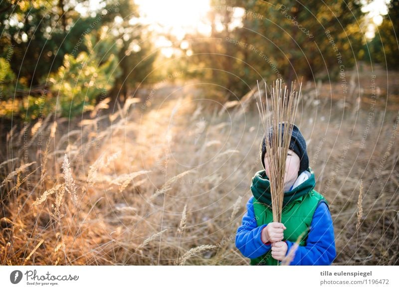 Ich bin dann mal weg Ausflug Sommerurlaub Sonne maskulin Kind Junge Kindheit Leben 1 Mensch 3-8 Jahre Natur Landschaft Sonnenaufgang Sonnenuntergang Herbst