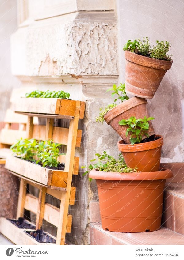 Mini-Gartenarbeit - mehrere Töpfe mit Pflanzen gestapelt Freizeit & Hobby Gartengeräte Dekoration & Verzierung Natur Blume Topfpflanze Container Blumentopf