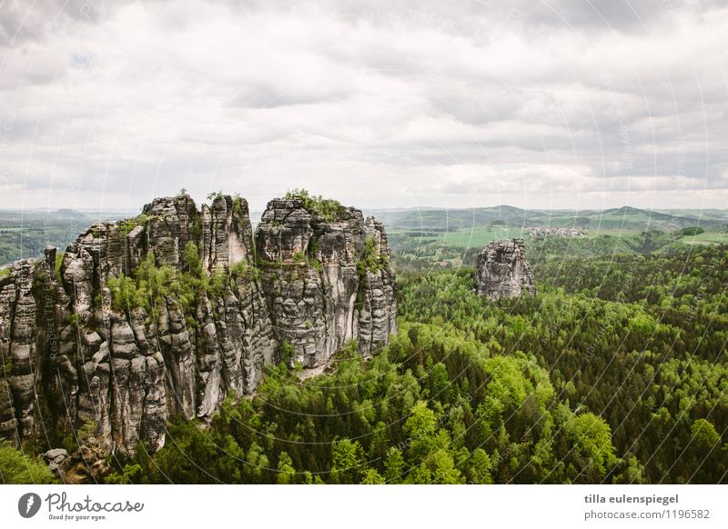 Wanderslust Freizeit & Hobby Ferien & Urlaub & Reisen Ausflug Ferne Freiheit Berge u. Gebirge Natur Landschaft Wolken Horizont Frühling schlechtes Wetter Baum