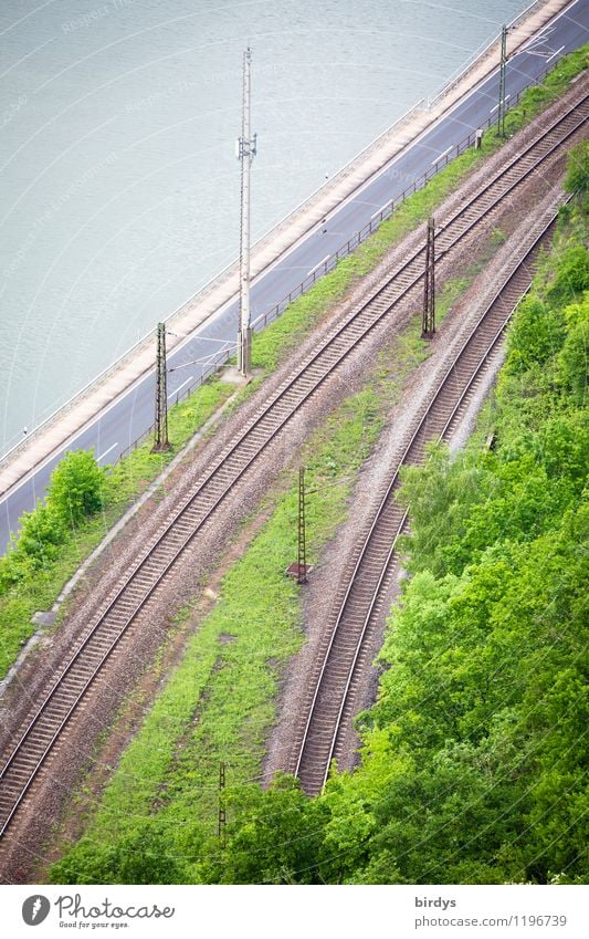 Verkehrswege Frühling Sommer Baum Güterverkehr & Logistik Straßenverkehr Binnenschifffahrt Wasserstraße Schienenverkehr Gleise authentisch Bewegung Mobilität