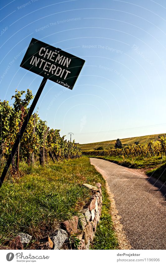 Na und? Kann kein französisch. Freizeit & Hobby Ferien & Urlaub & Reisen Tourismus Ausflug Freiheit Berge u. Gebirge wandern Fahrrad Umwelt Natur Landschaft