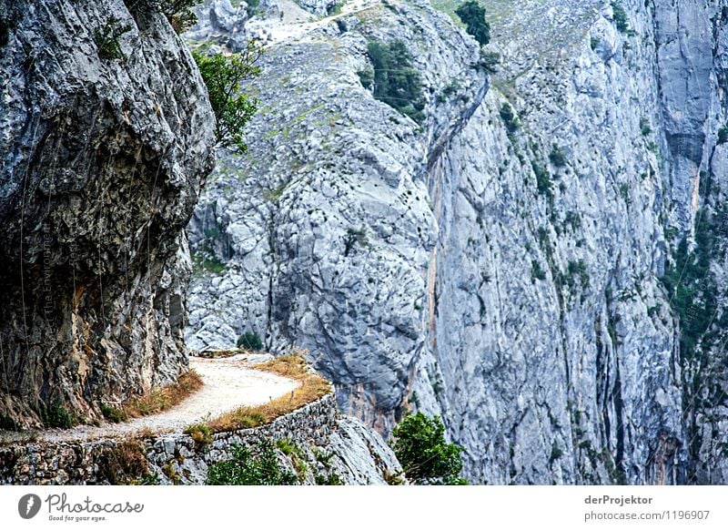 Wohin mich der Weg auch führt... Ferien & Urlaub & Reisen Tourismus Ausflug Abenteuer Ferne Freiheit Sommerurlaub Berge u. Gebirge wandern Umwelt Natur