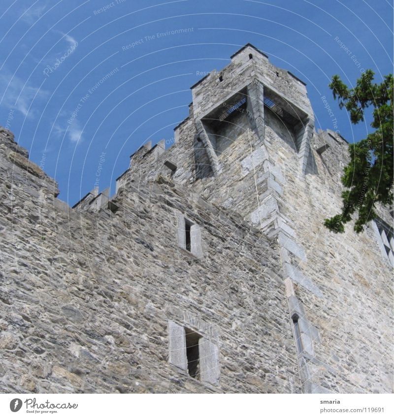 Burg Bruchstein Architektur blau Stein Mauer hoch Turm Außenaufnahme Burg oder Schloss