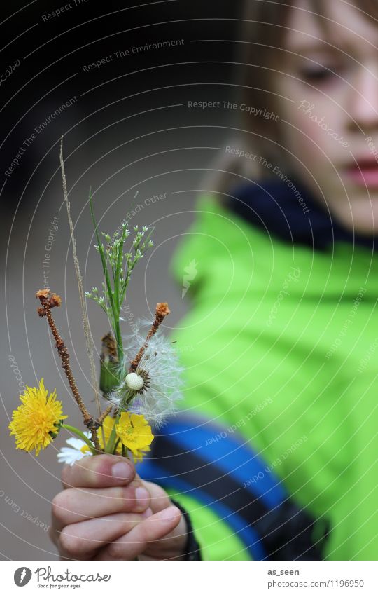 Für dich! Muttertag Junge Leben Gesicht Hand Finger 8-13 Jahre Kind Kindheit Umwelt Natur Frühling Sommer Pflanze Blume Löwenzahn Gräserblüte Fichtenzweig Wiese