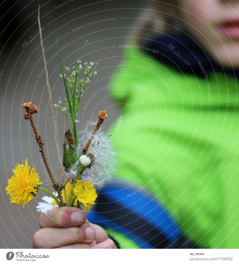 Schenk ich dir! Gesundheit Wellness Leben harmonisch Muttertag Geburtstag Kindererziehung Junge Arme Hand 3-8 Jahre Kindheit Löwenzahn Blumenstrauß authentisch