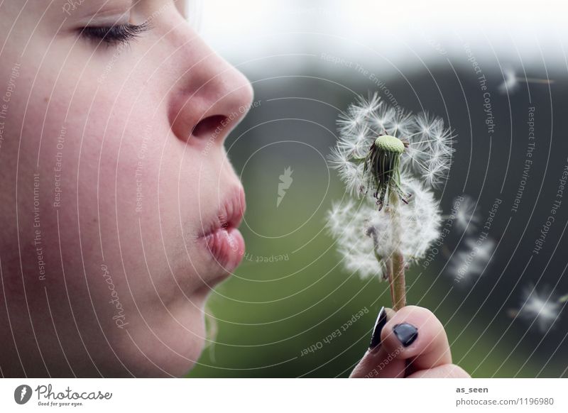 Flieg! Mädchen Kindheit Jugendliche Leben Gesicht Mund Lippen Hand 8-13 Jahre Umwelt Natur Pflanze Frühling Sommer Löwenzahn Samen fliegen authentisch einfach