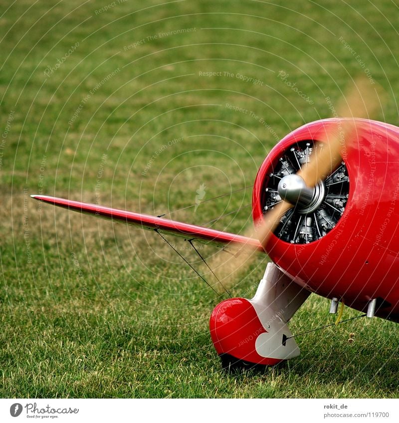 Dicker Brummer Propeller Sternmotor Flugzeug Kunstflug Tragfläche Oberkörper Verstrebung Sportveranstaltung dick Geschwindigkeit Fernbedienung Dröhnen Antrieb