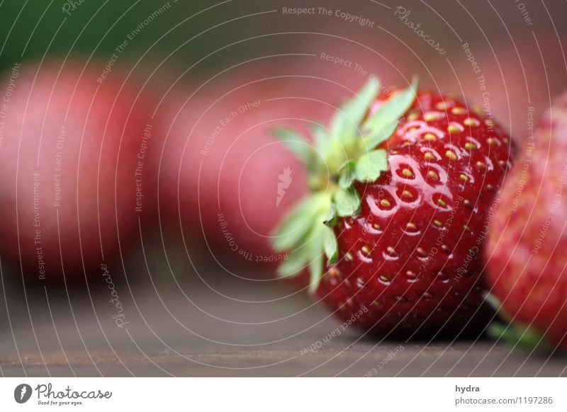 endlich Erdbeersaison Lebensmittel Frucht Erdbeeren Picknick Bioprodukte Vegetarische Ernährung Slowfood Fingerfood Gesunde Ernährung Essen genießen Duft