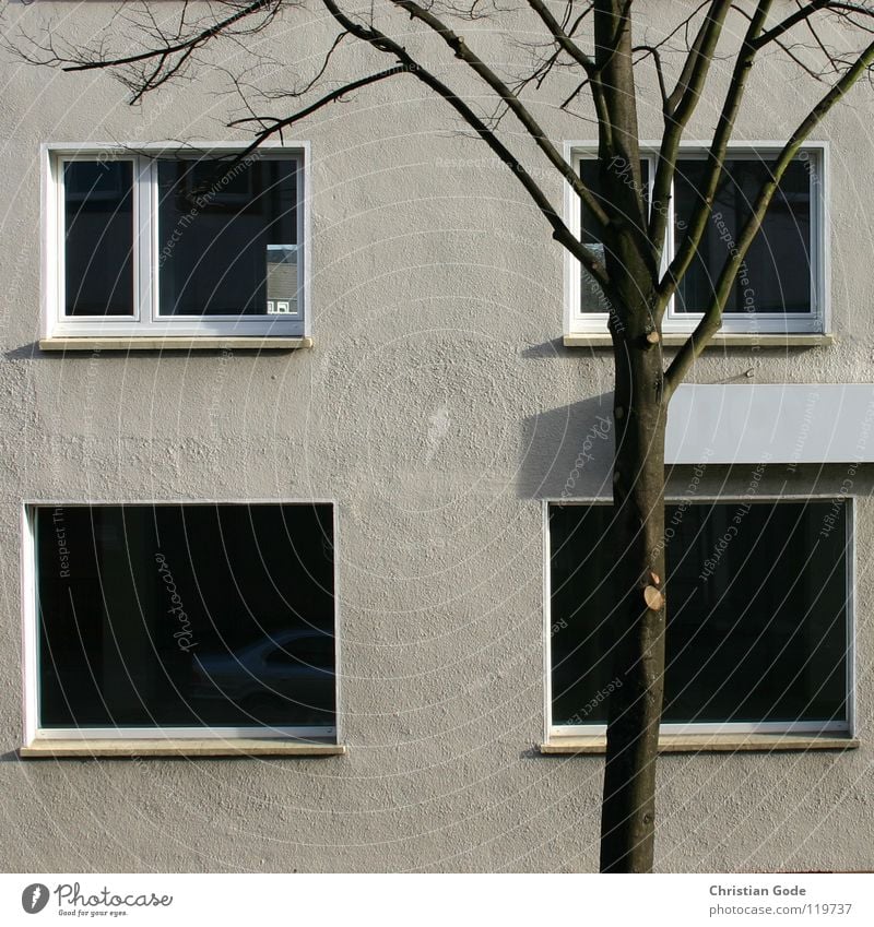 Altes Möbelhaus Gebäude Ruhrgebiet Nordrhein-Westfalen Baum Fenster grau Möbelkaufhaus Ausstellung Kunst Stadt Baustelle Architektur Leestand