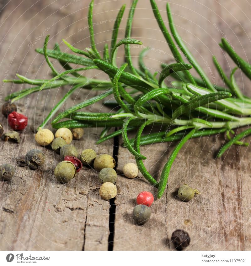 Rosmarin Pfefferkörner Kräuter & Gewürze Gesunde Ernährung Speise Essen Foodfotografie aromatisch Geschmackssinn Zutaten rot schwarz frisch kulinarisch nah