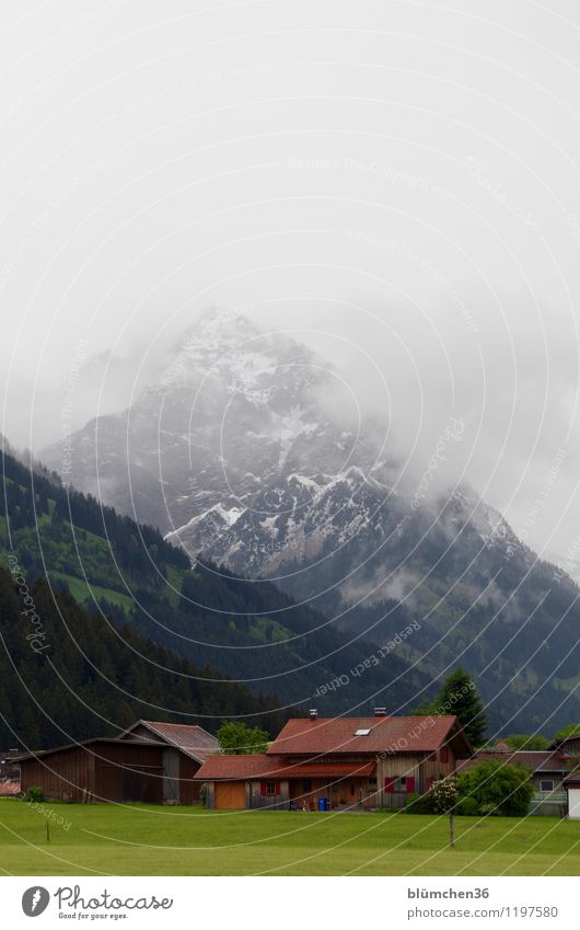 Allgäu im Mai Natur Landschaft Himmel Frühling Wetter Schnee Berge u. Gebirge Rubihorn Oberstdorf Allgäuer Alpen Dorf Haus Einfamilienhaus Abenteuer