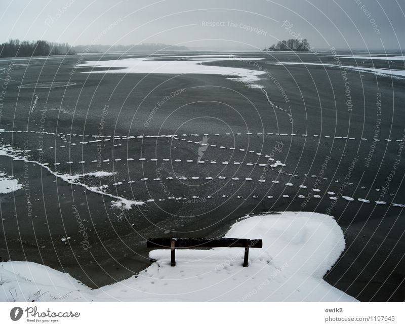 Sommerfrische Umwelt Natur Landschaft Horizont Winter Klima Wetter Schönes Wetter Eis Frost Schnee Seeufer Insel Stausee Bautzen frieren groß Unendlichkeit kalt