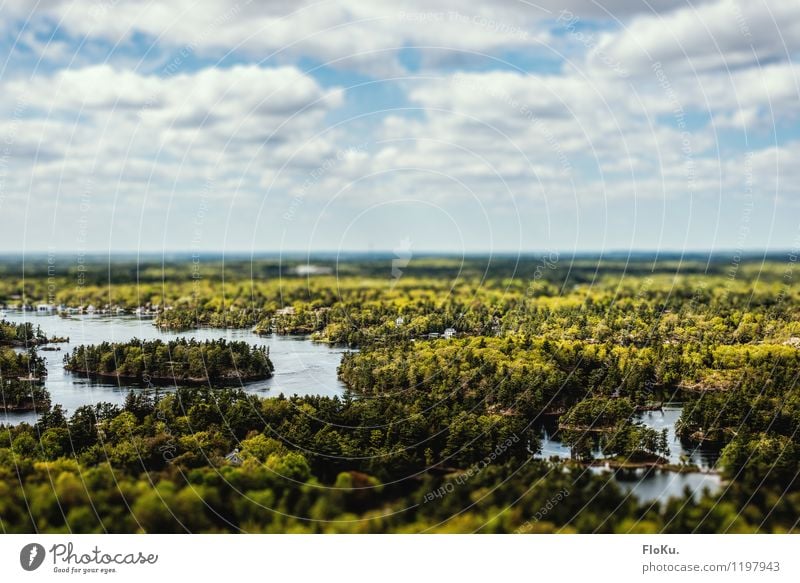 Thousand Islands Ferien & Urlaub & Reisen Tourismus Ausflug Abenteuer Ferne Sommer Insel Umwelt Natur Landschaft Himmel Wolken Horizont Wald Küste Seeufer