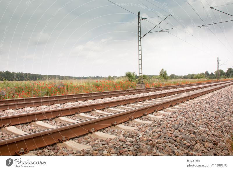 Streifzug durchs Ländle Umwelt Landschaft Pflanze Himmel Baum Mohn Feld Verkehrswege Schienenverkehr Gleise Schienennetz Oberleitung Kies Ferne Unendlichkeit